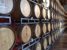 Od 18 marca 2026 r. wchodzi „pakiet winiarski” – co to zmienia na rynku?