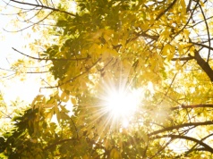 Słoneczny czwartek w Łódzkiem