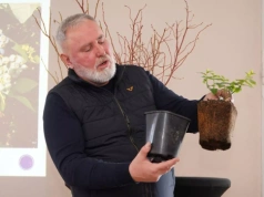 Mechaniczny zbiór borówki: „To nie wybór, lecz konieczność”