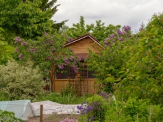 Działkowcy boją się likwidacji ROD. Nowa funkcja terenów w planach ogólnych