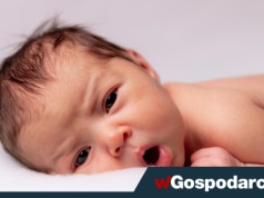 Narodziny nowej funkcji w popularnej aplikacji Polaków