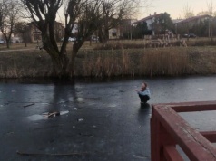 Dziewczynka utknęła na zamarzniętym oczku wodnym. Akcja ratunkowa w Bełchatowie