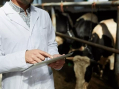 Rolnikom brakuje wsparcia. Sytuacja lekarzy weterynarii coraz trudniejsza!