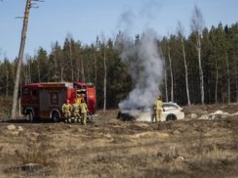 Piła: Zapalił się w trakcie jazdy. Groźny pożar auta przy lesie