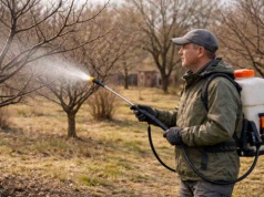 Jeden oprysk w marcu i masz spokój z mszycami na całe lato. To lepsze niż drogie środki