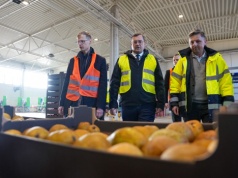 Polskie jabłka podbiją Brazylię? Minister zapowiada walkę o nowe rynki