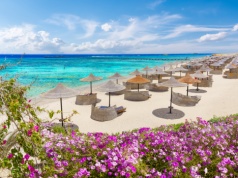 Egipt z all inclusive 🌊☀️ 4* Alexander The Great Resort w Marsa Alam za 2549 PLN