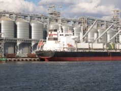 Pierwsza dostawa i już wpadka. Nasiona z Argentyny skażone pozostałościami pestycydów