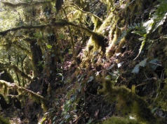 Skały skrywały artefakty z epoki brązu. Archeolodzy sugerują, jak mogły tam trafić