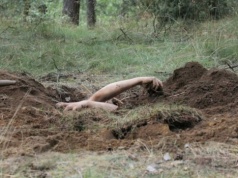 Przewodnik kulturalny. 7 wystaw w marcu, które warto zobaczyć