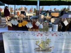 Podkarpacki Bazarek w Rzeszowie 2026. Park Papieski znów wypełni się przysmakami