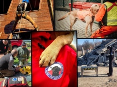 Ty tez możesz zostać ratownikiem. Nowosądecka grupa zaprasza w swoje szeregi