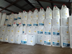 PILNE! Nawozy wracają na rynek! Grupa Azoty zmienia decyzję