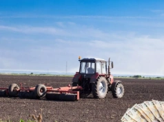 KOWR wydzierżawi ponad 60 ha na Dolnym Śląsku. Jaki czynsz?