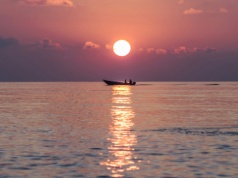 Cytat Milan Kundera - wrażliwość na piękno