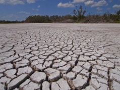 Ekstremalna susza na Florydzie. Najtrudniejsze warunki od ponad 20 lat