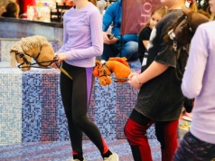 Hobby Horse Cup wraca do stolicy. Widowiskowe skoki w Blue City