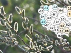 Prognoza pogody na Wielkanoc rozczarowuje. Lepiej naszykuj parasol i kurtkę