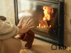 Więcej sadzy niż ciepła. To drewno to cichy zabójca kominków
