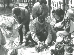 Groby pomordowanych przez komunistów w Otwocku: trwają badania, napływają informacje o kolejnych mogiłach