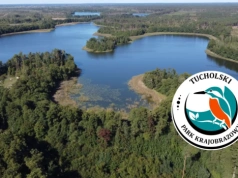 40 lat ochrony Borów Tucholskich. Czas Chojnic patronem ważnego wydarzenia