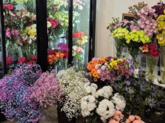 Więcej niż kwiaty. Odkryj świat pełen pasji w Kwiaciarence