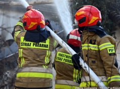 Podkarpacie w ogniu bezmyślności. Tragiczny bilans wiosennych pożarów traw