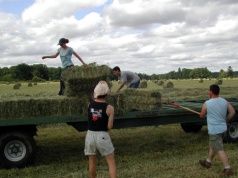 Ważne zmiany dla rolników zatrudniających pomocników z Ukrainy