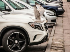 Dzieje się w Szczecinie. Miasto może być zmuszone oddać miliony złotych kierowcom