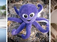 Rekin i Ośmiornica z dostawą do domu. Pamiątki z Hydropolis teraz dostępne są także online