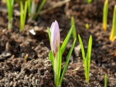Fala ciepła nadciąga do Polski. Dwucyfrowe temperatury w całym kraju