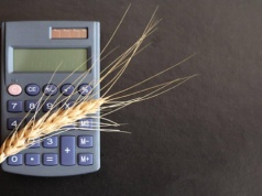 Jakie ceny za zboża i rzepak w portach? O 15 zł/t podrożała pszenica konsumpcyjna ze zbiorów 2026 r.