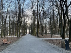 Urzędnicy wypowiedzieli wojnę gawronom