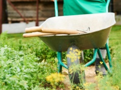Praca w ogrodzie może być łatwiejsza niż myślisz. Wystarczy kilka sprytnych narzędzi