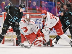 Stalownicy zaczną play-offy od rundy wstępnej. Porażka z Hradcem Kralowe