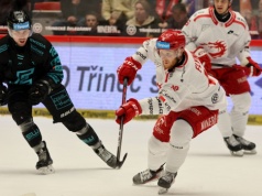 Porażka “Stalowników”. W play-off czeka HC Ołomuniec | ZDJĘCIA