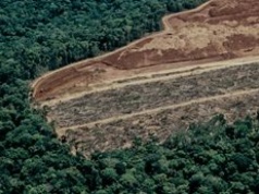 Satelity na pomoc lasom Amazonii. Są konstrukcją polsko-fińską