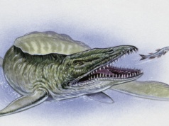 Monstrualny drapieżnik znaleziony w Afryce. Wielkie szczęki, 9 metrów