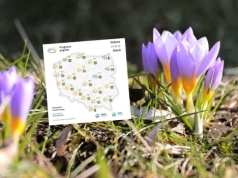 Wiosna przyspiesza. Na szczytach Gór Świętokrzyskich 10 stopni