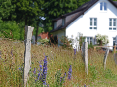 Przekazujesz gospodarstwo dziecku? Sprawdź, o czym musisz pamiętać