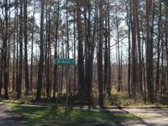 Podatek leśny 2026. Ile zapłaci rolnik za 1 ha lasu?