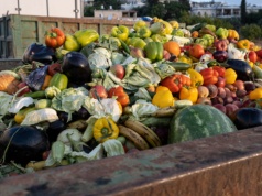 Rolnicy a BDO: Dzierżawa liczy się do 75 ha, kary sięgają do 1 mln zł