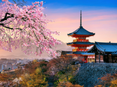 Zapraszamy na wyjątkowe wyjazdy studyjne: Dni Pola DLG, Japonię oraz Rumunię