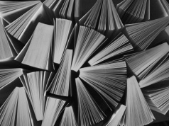 Wykształceni. Rząd Tuska 2026