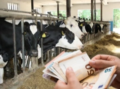 UE otwiera rynek. Polskie mleko może zapłacić najwyższą cenę