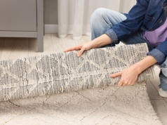 Mogą zniszczyć twój dywan czy płaszcz. Tak wygonisz szubaki z domu