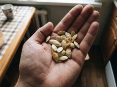 To nie pietruszka jest rekordzistką. Te pestki to prawdziwa kopalnia żelaza. Dobre na serce