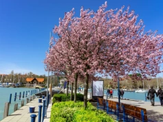 Kraj w sercu Europy pobił turystyczny rekord. Polacy na podium