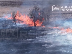 Duży pożar traw pod Warszawą! Ogień buchał na kilka metrów