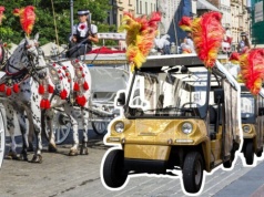 Chcą wycofania koni z rynku w Krakowie. Dorożkarze: Konie ważniejsze niż my?